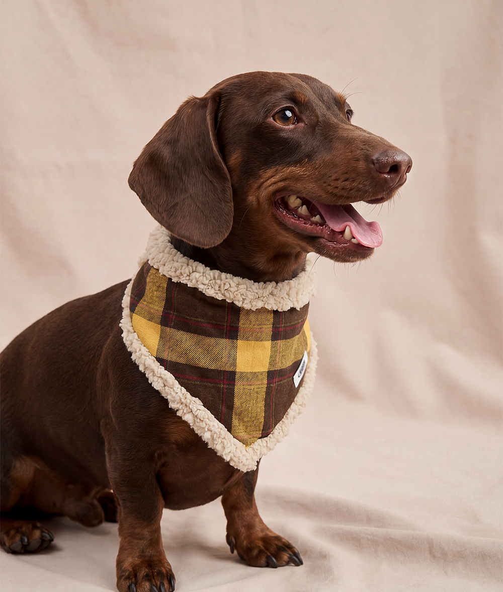 cafide-nata-tartan-hundetuch-senf-kariert-wende-bandana-baumwolle image 2