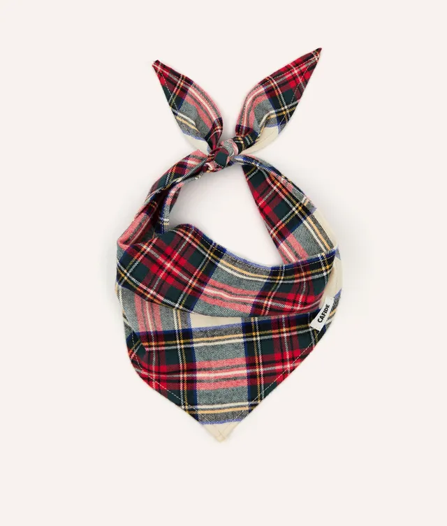 cafide-pets-nata-hundehalstuch-dress-stewart-tweed-gr-m image 1