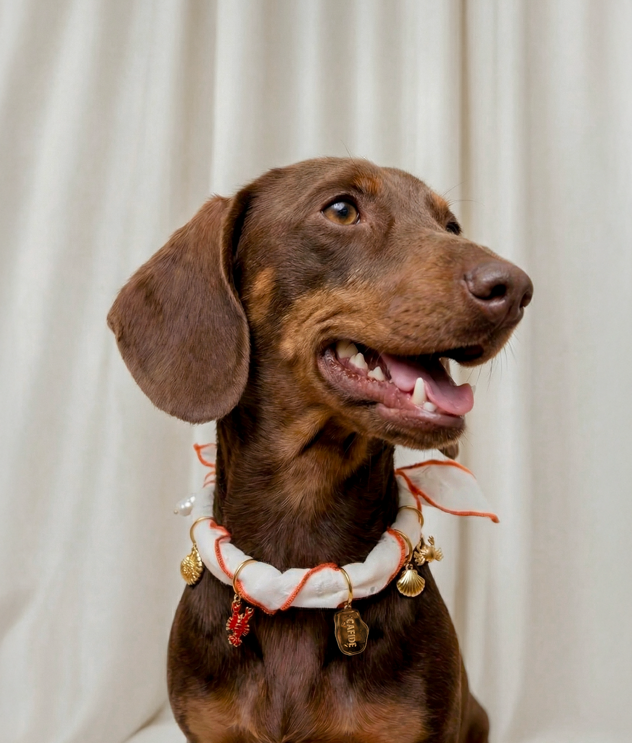 cafide-pets-sira-hundebandana-koralle-charms-baumwolle image 2