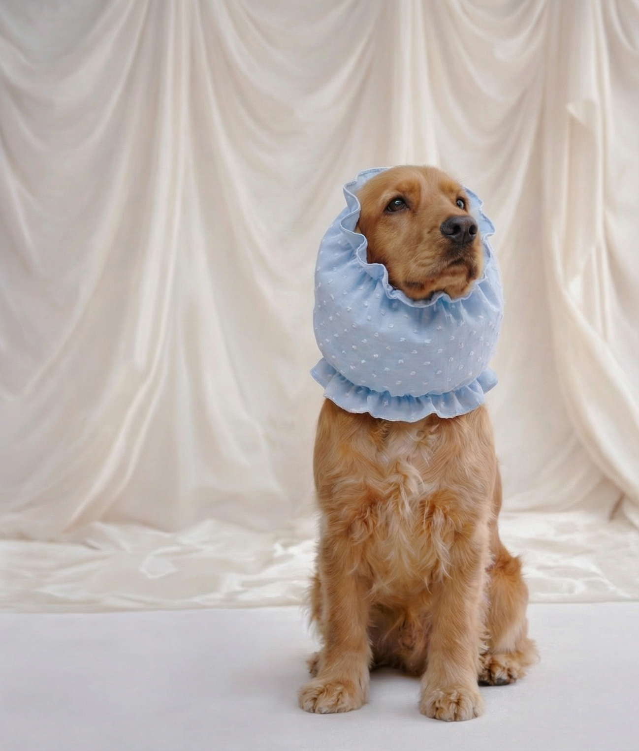 cafide-pets-olga-hund-snood-blau-plumeti-m-l-ohrenschutz image 2